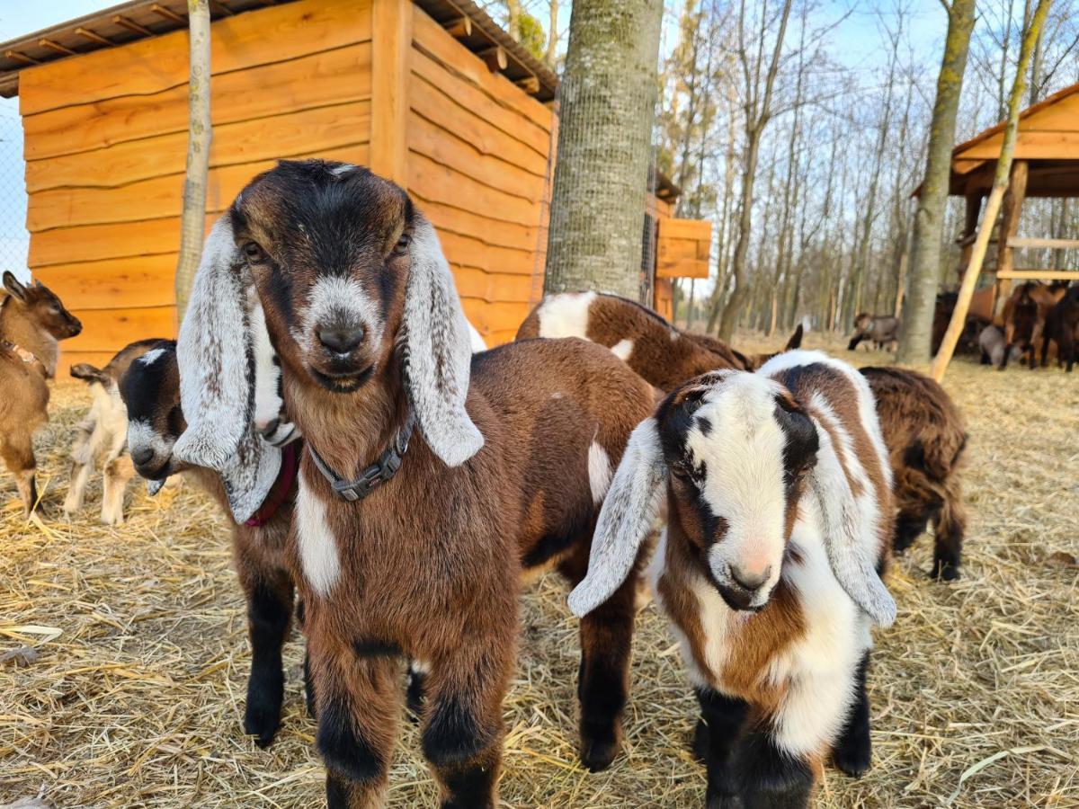 Istvan Parkhotel Es Gasztrofarm Sormas Bagian luar foto