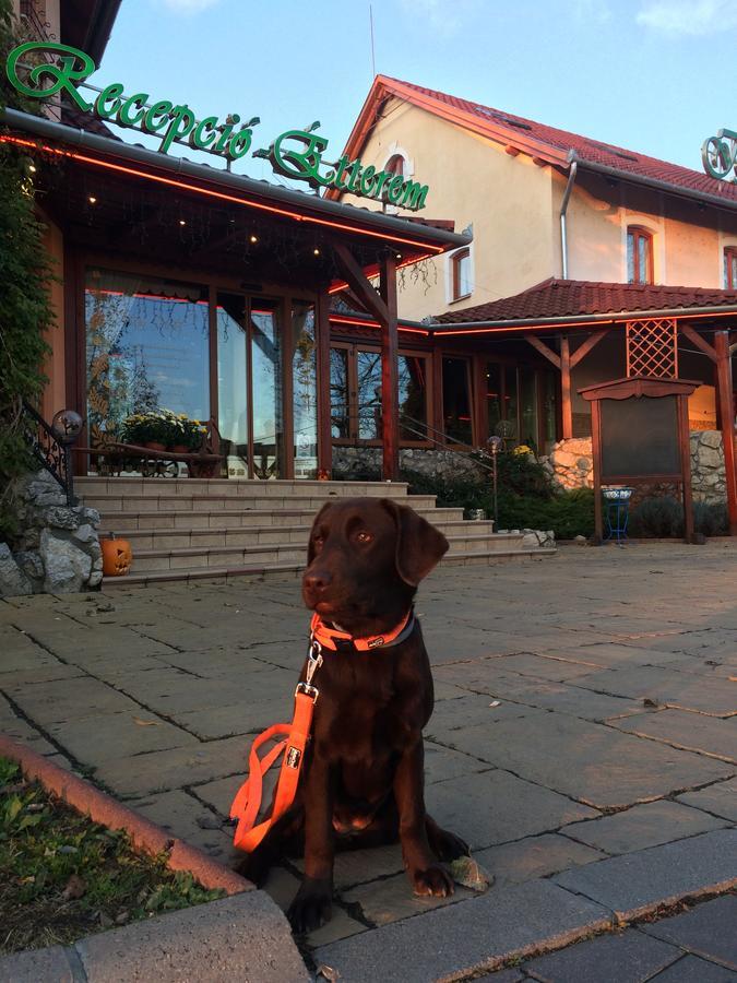 Istvan Parkhotel Es Gasztrofarm Sormas Bagian luar foto